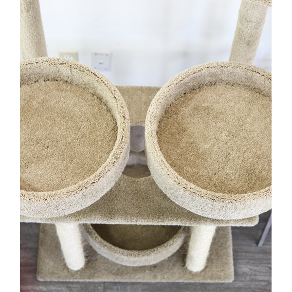 Prestige Cat Trees 55" Cat Tree & Reviews Wayfair